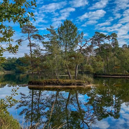 Bospareltjes Luxe Chalets Alleen Voor Recreatie Ойстервейк Экстерьер фото